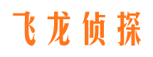 塔河侦探公司